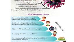 PHÒNG CHỐNG DỊCH COROLA (COVID-19)